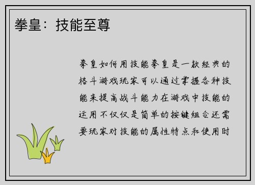 拳皇：技能至尊